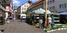 Marktheidenfeld: Die Altstadt