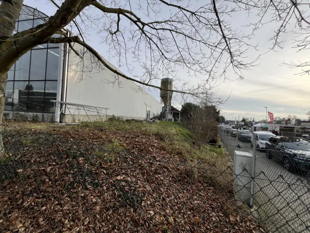 Straßebegleitgrün in der Straße Am Taubenbaum