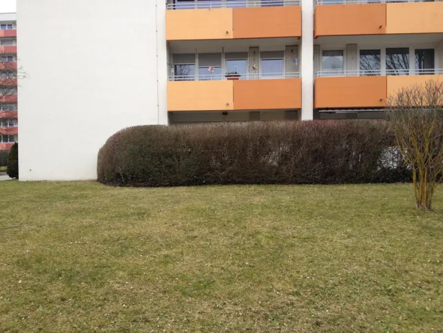 München-Neuaubing: Abstandsgrün und Heckenwand