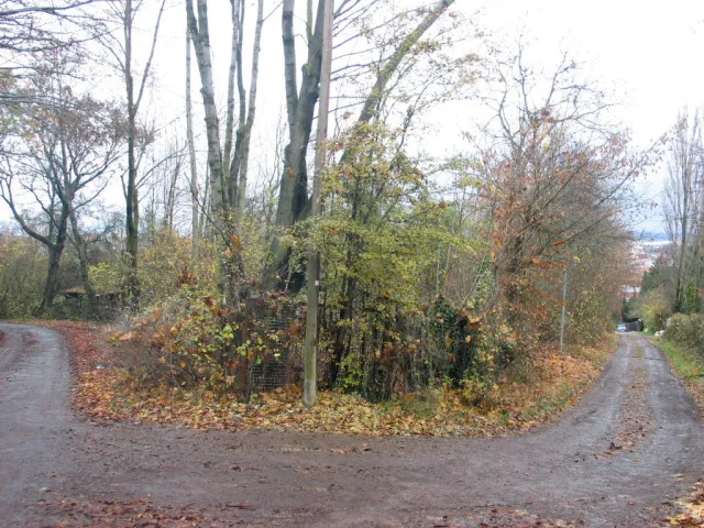 Erfurt: Situation 2009